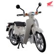 画像17: KAITANICS Honda スーパーカブ110 (グリントウェーブブルーメタリック / バージンベージュ / クラシカルホワイト / タスマニアグリーンメタリック) (17)