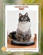画像10: 【再販】WONZAI First Smile(ファースト・スマイル)シリーズ トレーディングフィギュア (6個入り1BOX) (10)
