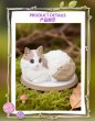 画像9: 【再販】WONZAI First Rub(ファースト・ラブ)シリーズ トレーディングフィギュア (6個入り1BOX) (9)