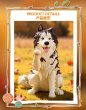 画像6: 【再販】WONZAI First Touch(ファースト・タッチ)シリーズ トレーディングフィギュア (6個入り1BOX) (6)