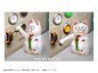 画像6: プリプラ 招き猫-博士の場合- (6)