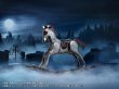 画像6: プリプラ フィギュアの遊び 木馬の心得 ナイトメア (6)