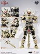 画像8: 異次元重工 DI-AHX-01 帝皇アーマー (8)