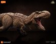 画像5: Blokees ジュラシック・ワールド テラベンチャー TL01 ティラノサウルス・レックス (5)