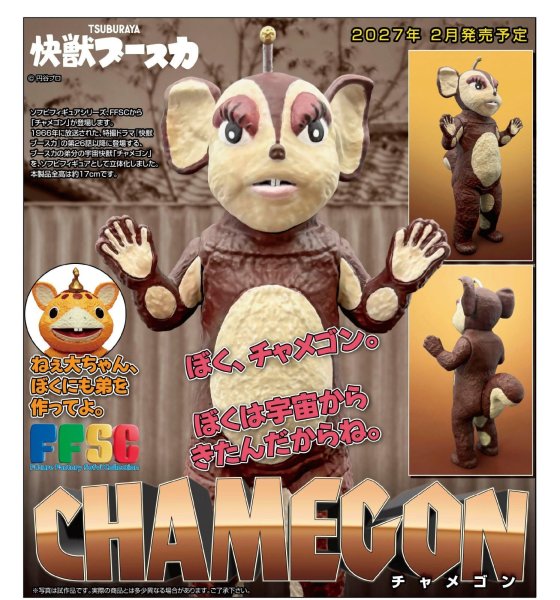 画像1: FFSC チャメゴン (1)