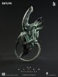 画像8: 52TOYS FIGLITE エイリアン ゼノモーフ・スペシャルエディション (8)