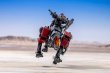 画像12: 『ゾイド -ZOIDS-』 コマンドウルフ アーバイン仕様 1999 -Recolor- (12)